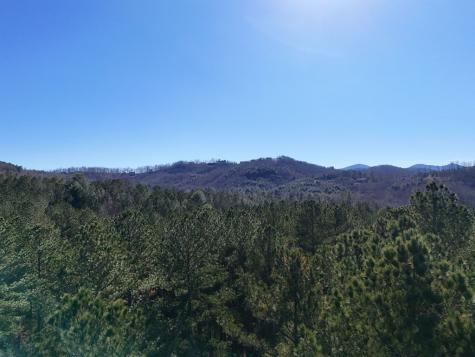 Lot 264 Garden Street Blairsville GA 30512