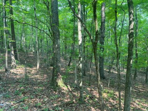 Lt 51,53 Squirrel Hunting Road Ellijay GA 30536