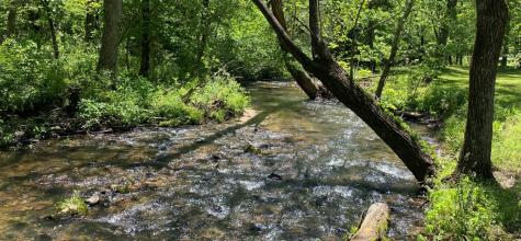 Lt 51,53 Squirrel Hunting Road Ellijay GA 30536