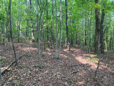 Lt 51,53 Squirrel Hunting Road Ellijay GA 30536