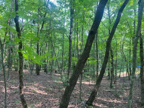 Lt 51,53 Squirrel Hunting Road Ellijay GA 30536