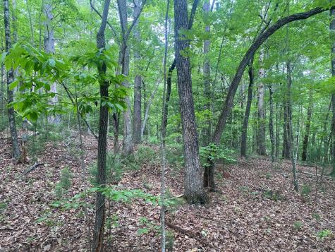 Lt 51,53 Squirrel Hunting Road Ellijay GA 30536