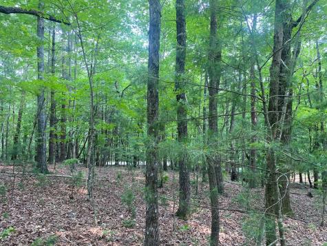 Lt 51,53 Squirrel Hunting Road Ellijay GA 30536