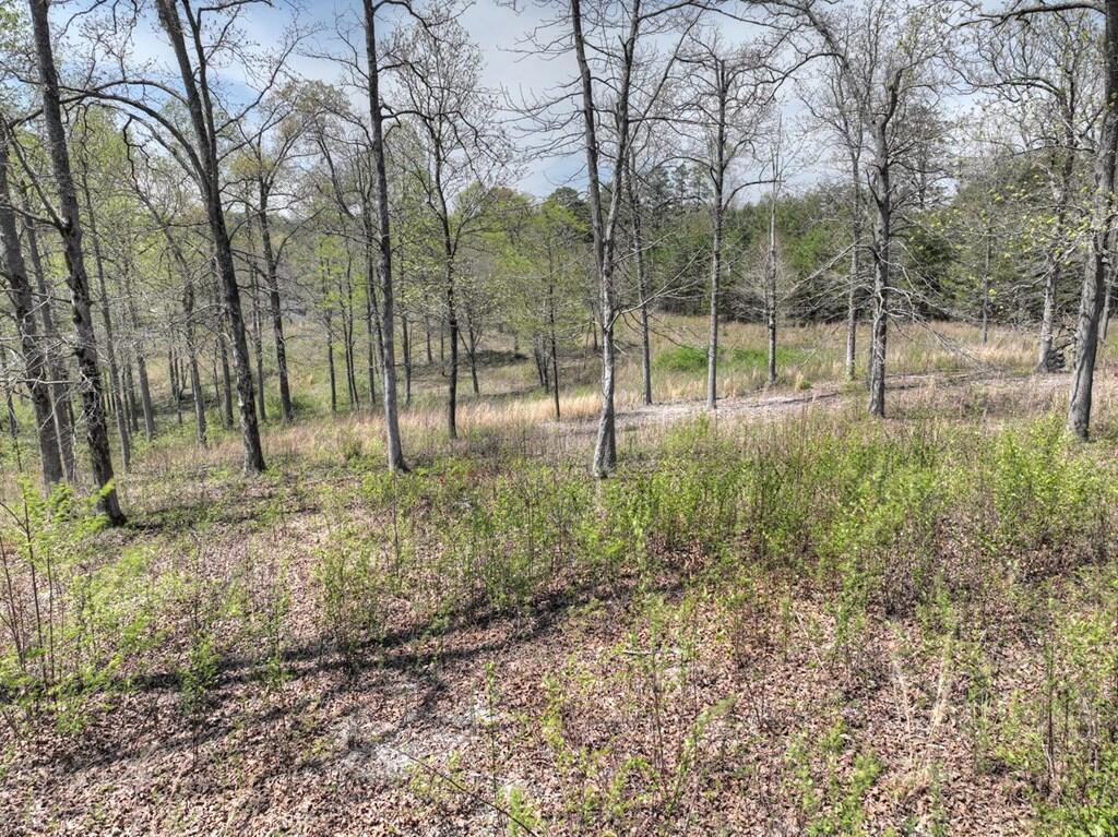 6 Arbor Creek Trail Mineral Bluff GA 30559