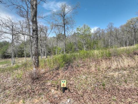 6 Arbor Creek Trail Mineral Bluff GA 30559