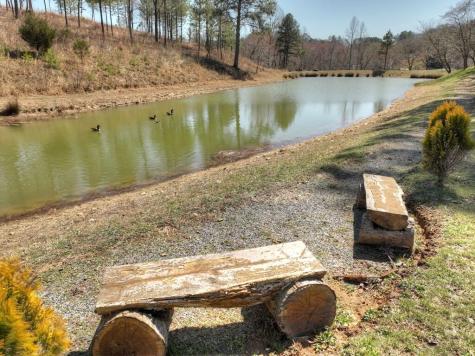 6 Arbor Creek Trail Mineral Bluff GA 30559