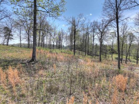 6 Arbor Creek Trail Mineral Bluff GA 30559