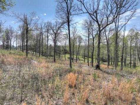 6 Arbor Creek Trail Mineral Bluff GA 30559