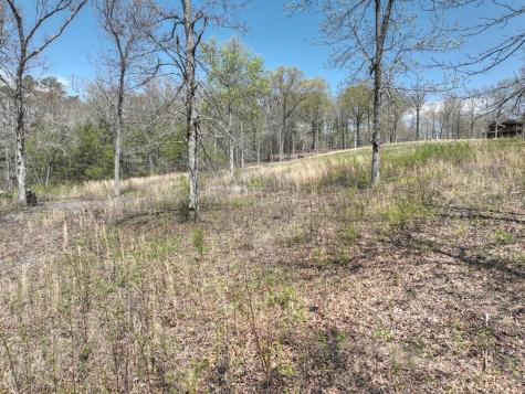 6 Arbor Creek Trail Mineral Bluff GA 30559