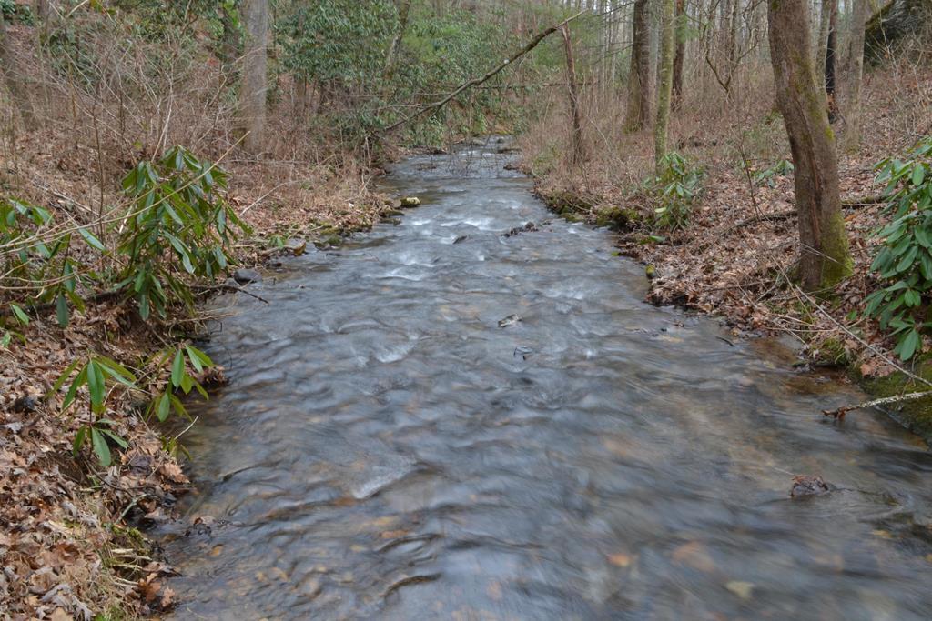 18 & 19 Sarvis Road Hayesville NC 28904