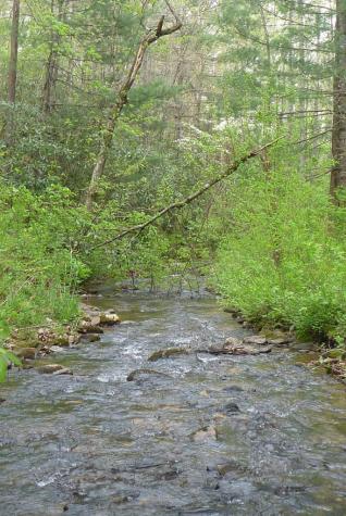 18 & 19 Sarvis Road Hayesville NC 28904