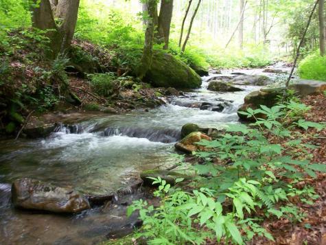 18 & 19 Sarvis Road Hayesville NC 28904