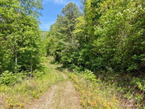 18 & 19 Sarvis Road Hayesville NC 28904