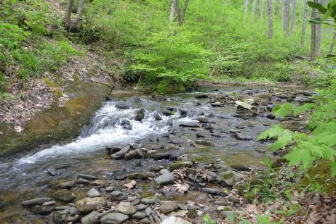 18 & 19 Sarvis Road Hayesville NC 28904