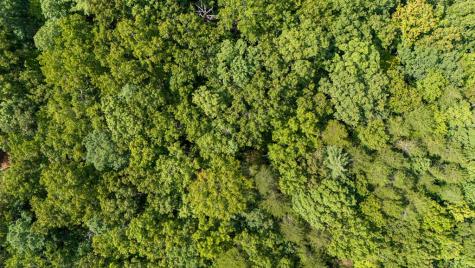 9.16 Ac. Sunrock Mountain Road Blue Ridge GA 30513