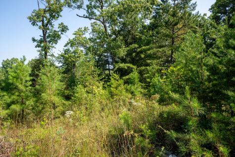 9.16 Ac. Sunrock Mountain Road Blue Ridge GA 30513