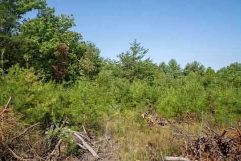 9.16 Ac. Sunrock Mountain Road Blue Ridge GA 30513