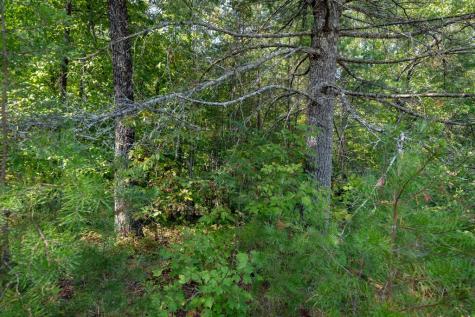 9.16 Ac. Sunrock Mountain Road Blue Ridge GA 30513