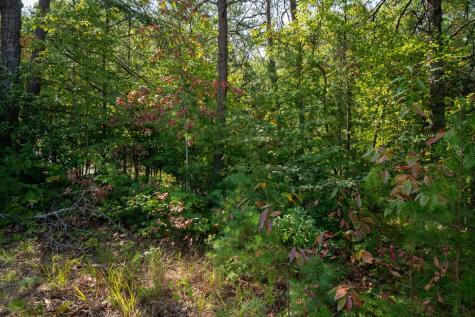 9.16 Ac. Sunrock Mountain Road Blue Ridge GA 30513