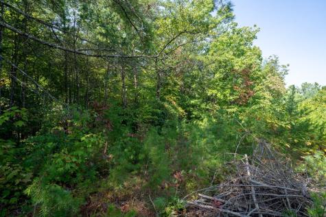 9.16 Ac. Sunrock Mountain Road Blue Ridge GA 30513