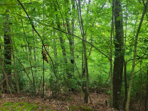 Lot 24 Double Knob Drive E Hayesville NC 28904