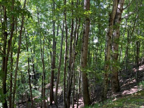 Lot 24 Double Knob Drive E Hayesville NC 28904