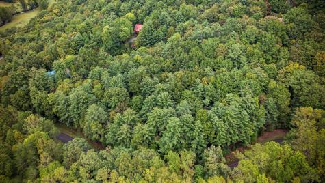 Lot 16 Buckskin Drive Blue Ridge GA 30513