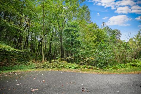 Lot 16 Buckskin Drive Blue Ridge GA 30513