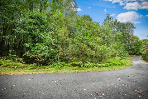 Lot 16 Buckskin Drive Blue Ridge GA 30513