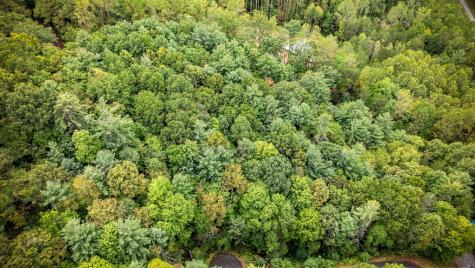 Lot 16 Buckskin Drive Blue Ridge GA 30513