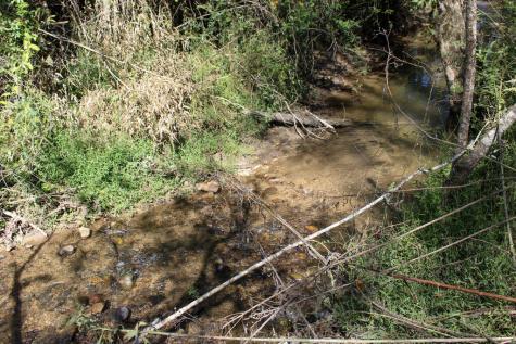 00 W Gum Log Road Warne NC 28909
