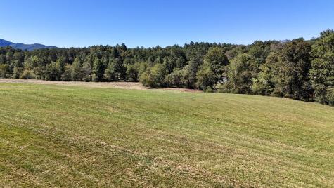 00 W Gum Log Road Warne NC 28909