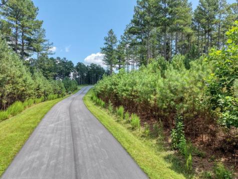Lot 348 Loop Rise Blairsville GA 30512