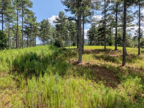 Lot 348 Loop Rise Blairsville GA 30512