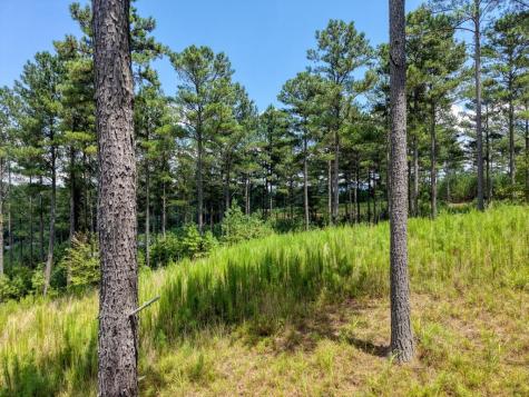 Lot 348 Loop Rise Blairsville GA 30512