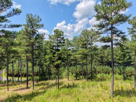 Lot 348 Loop Rise Blairsville GA 30512