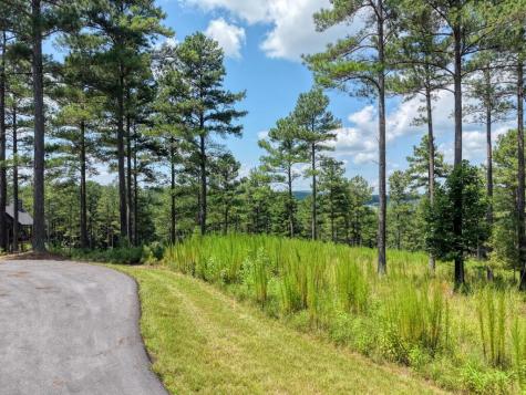 Lot 348 Loop Rise Blairsville GA 30512