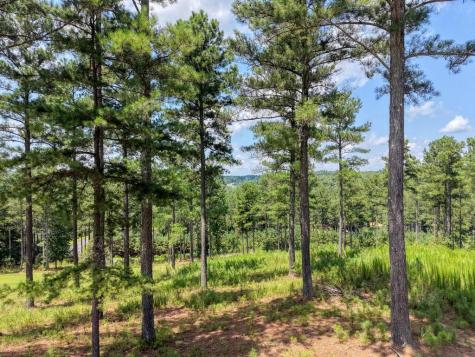 Lot 348 Loop Rise Blairsville GA 30512