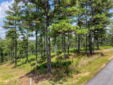Lot 348 Loop Rise Blairsville GA 30512