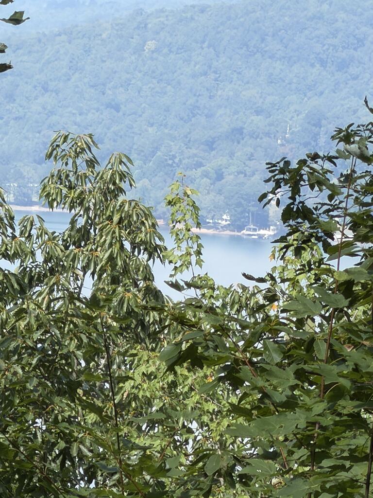 Lot 55 Eagles View Road Hayesville NC 28904