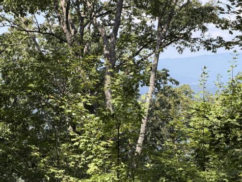 Lot 55 Eagles View Road Hayesville NC 28904