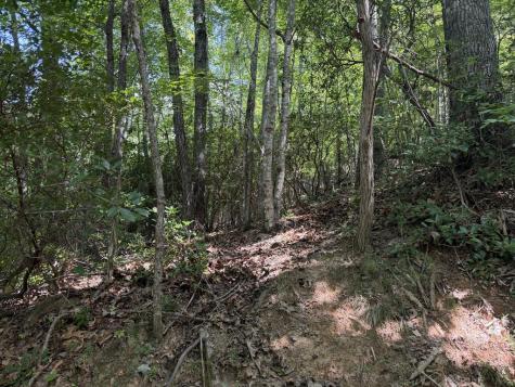 Lot 55 Eagles View Road Hayesville NC 28904
