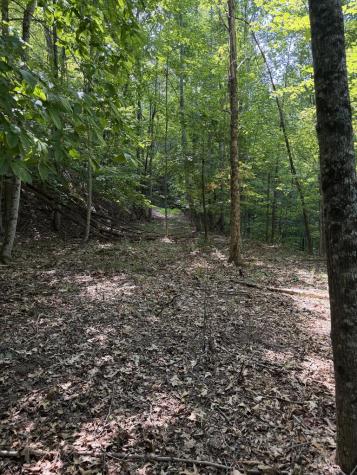Lot 55 Eagles View Road Hayesville NC 28904