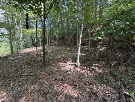 Lot 55 Eagles View Road Hayesville NC 28904