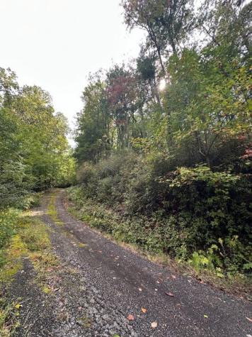 Lot 5 Sequoia Hills Lane Clayton GA 30525