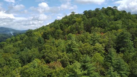 Lot 5 Sequoia Hills Lane Clayton GA 30525