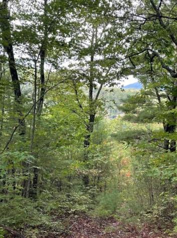 Lot 5 Sequoia Hills Lane Clayton GA 30525