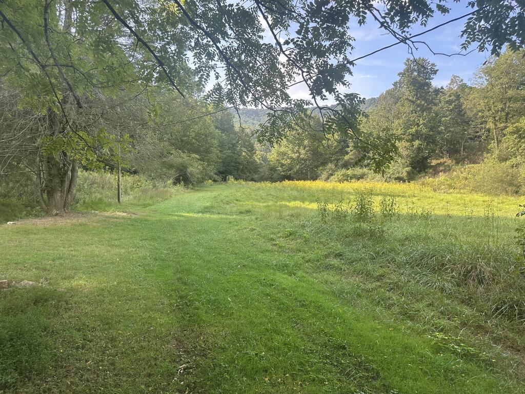 191 NW Roach Cove Road Hayesville NC 28904