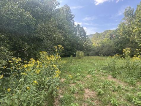 191 NW Roach Cove Road Hayesville NC 28904