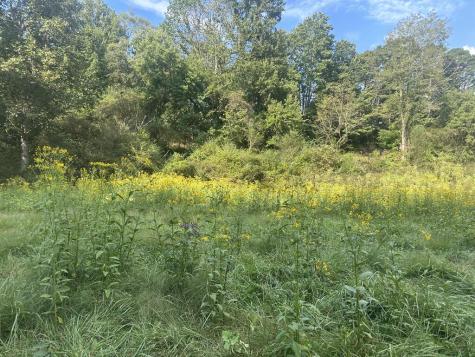 191 NW Roach Cove Road Hayesville NC 28904